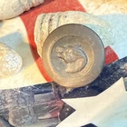 Dug Civil War💥 🇺🇸 💣 Wolf Sporting Button  PH LA