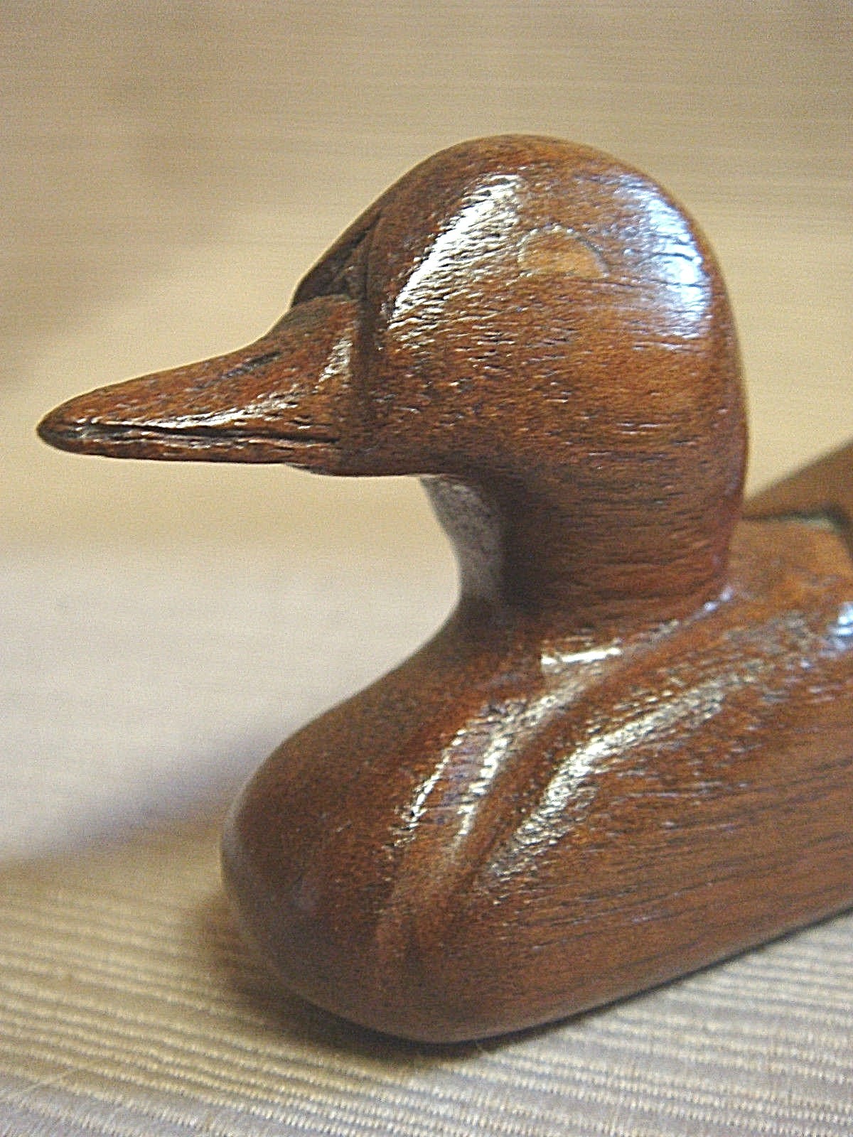 Picture 12 of 12