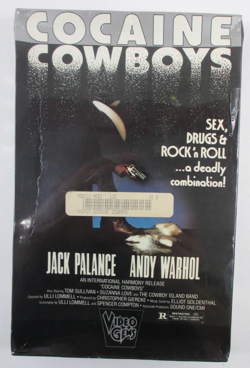 デルモンテ　メイキングVHS(非売品) カプリッチョ デルモンテ メイキングVHS(非売品) カプリッチョ
