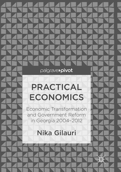 Practical Economics, Nika Gilauri-image