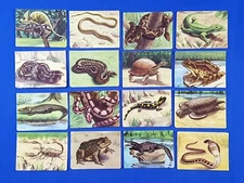 Granose Foods Ltd Trade Cards AQUATIC AND REPTILE LIFE (1957) Set of 16 Loose