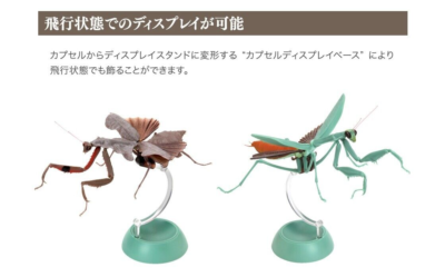 The Diversity of Life on Earth Mantis 02 Figure w/ Stand Bandai