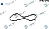 Dr.Motor Automotive DRM02796 Dichtung FüR KüHlmittelflansch FüR Ford