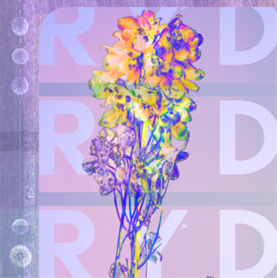 RYD RYD (CD) Album