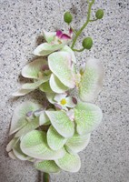 1 Kunstblume Orchidee Phalaenopsis Creme-GrüN-Pink Ca.85Cm
