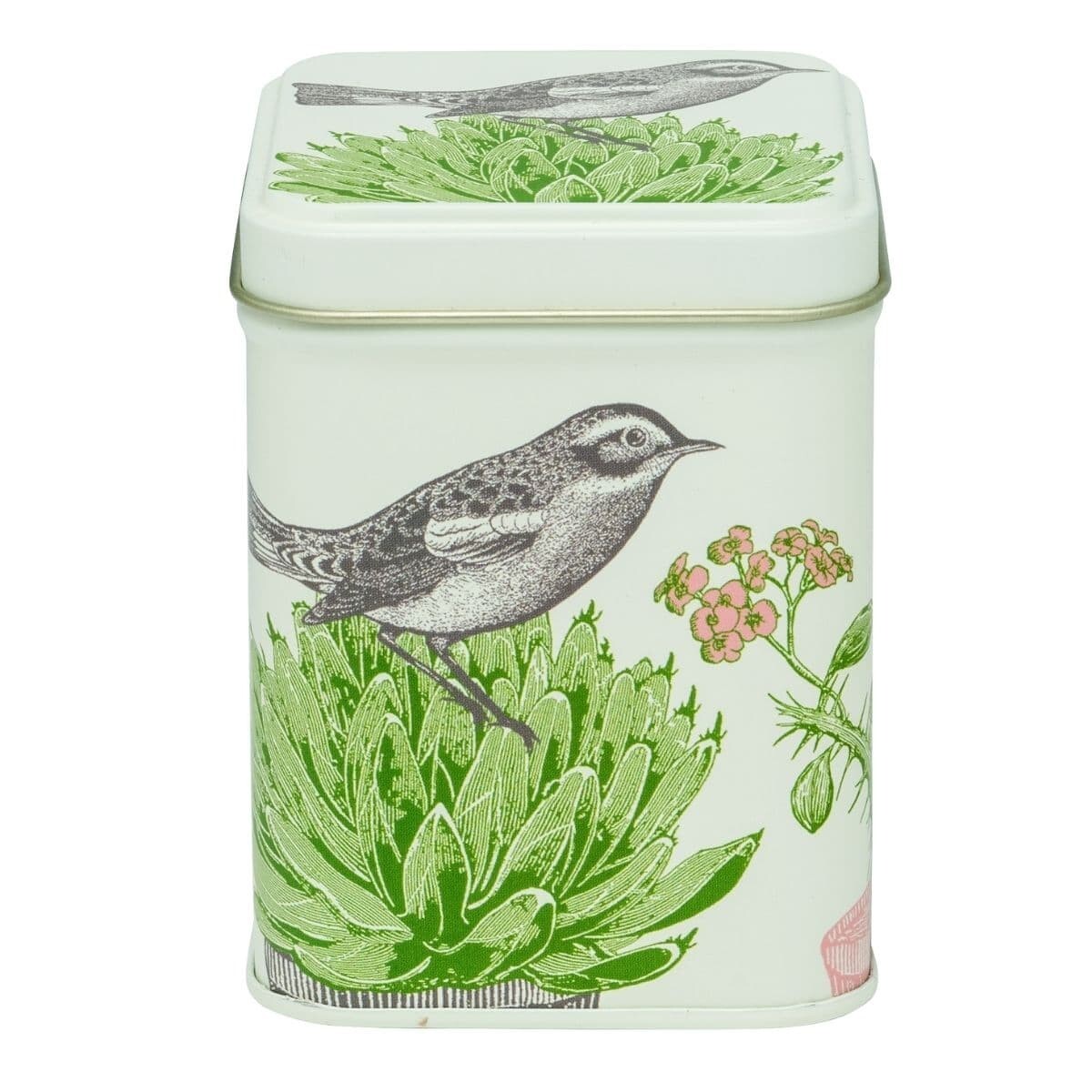 Thornback and Peel of London Cactus and Bird Container Square Tin