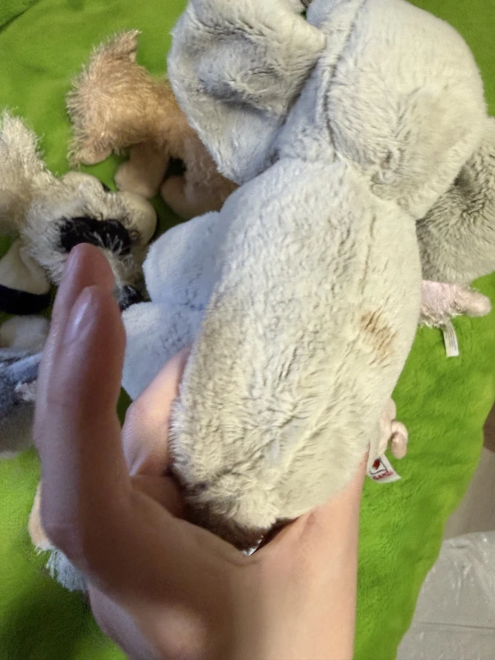 Webkinz Plush Lot Of 11 No Codes - Image 3 of 4