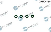 Dr.Motor Automotive DRM0475S Dichtring, DüSenhalter FüR Audi Seat Skoda VW