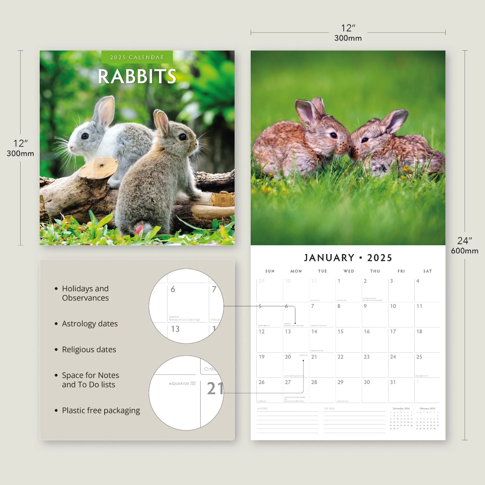 Rabbits 2025 Square Wall Calendar