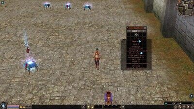 Metin2 Germania Qillinschuhe +8-9