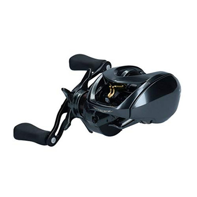 DAIWA Bait Reel 19 Stiez CT SV TW 700SH (2019 Model)NEW | eBay