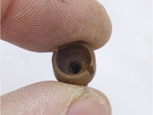 Nelspot 12 gram piercer - MISSING PIERCER - rusted - nel2360 - Picture 4 of 4