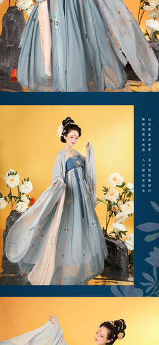 Women Hanfu Traditional Chinese Festival Outfit Embroidery Stage Dance Costumes - Picture 16 of 26