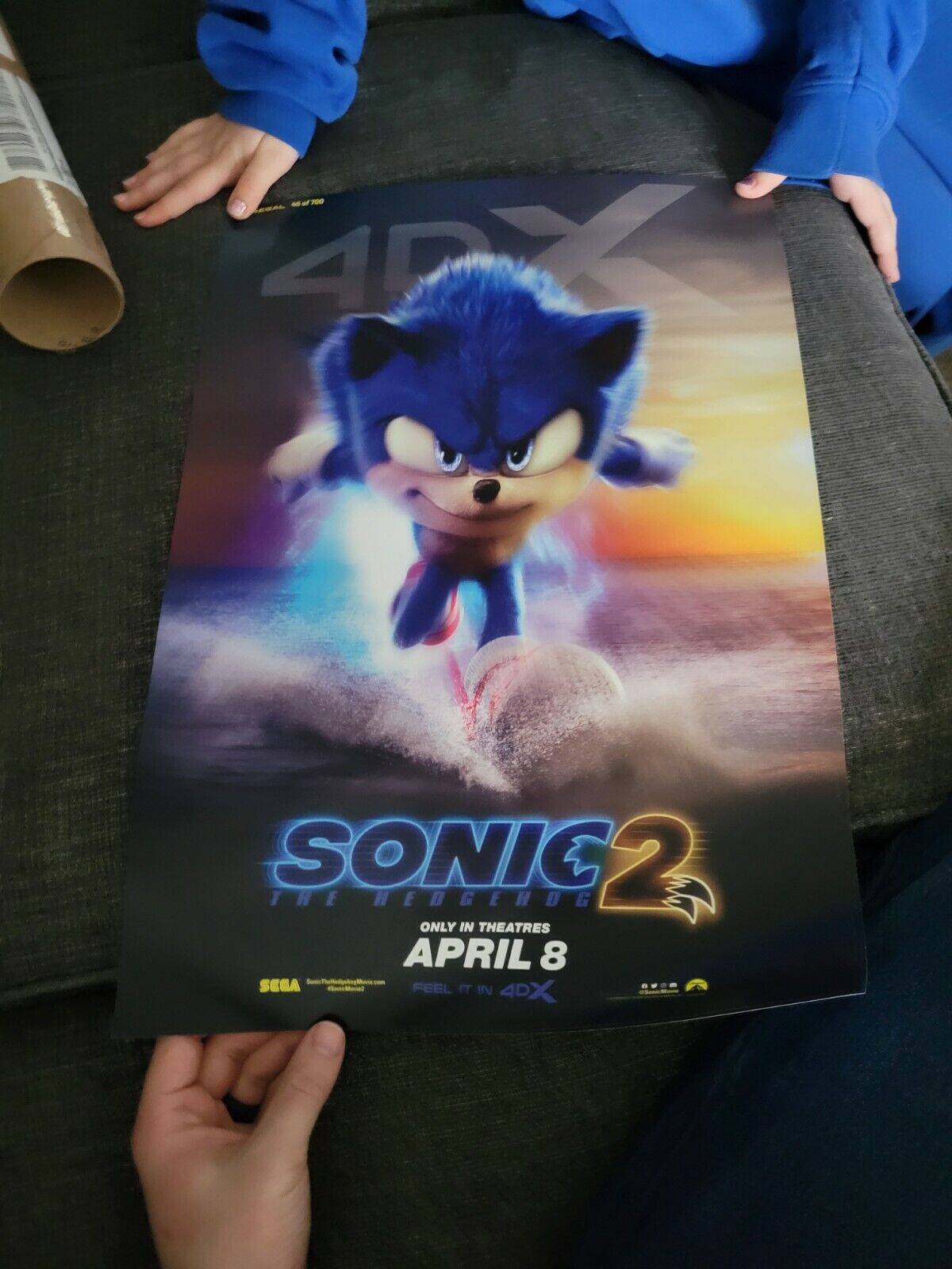 Sonic the Hedgehog 2 4DX Poster Revealed