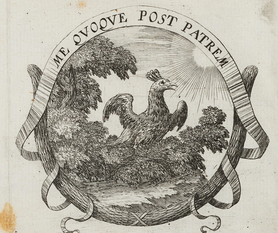 Pfau,  1649, Kupferstich Barock Tiere 1600-1649 Druckgraphik Unbekannt (17.Jhd) - Bild 3 von 4