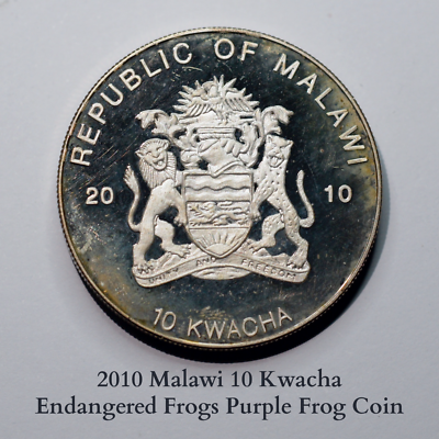 絵画 world coin Friends With Benefits 2010 Malawi 10 Kwacha - Endangered Frogs Purple Frog Coin- KM95