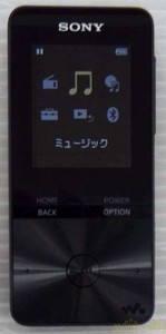 Sony Walkman Nw S313 F S En Buenas Condiciones Ebay
