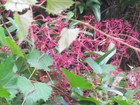 Bild 4 von 6
