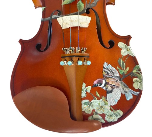 Song Bird 4/4 Violin Outfit, Robins egg blue pearl fine tuners - Picture 3 of 7