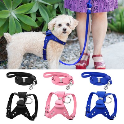 small dog harness and lead