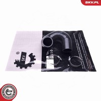 Esen Skv Ladeluftschlauch 43SKV272 Pe Polyethylen FüR Fiat Doblo Multijet Jtd