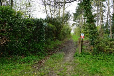 Foto 12x8 Weg hinauf zu Reithügeln Beauclerc hier verlassen den Weiler Ri c2017