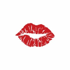 2 x Lips Iron on Screen Print patch for fabric Machine Washable Lip Kiss