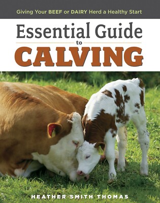 Essential Guide To Calving Giving Your Beef Or Dairy Herd A Healthy Start