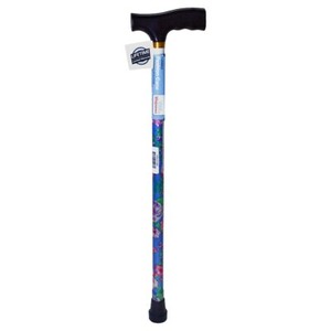 walgreens lb b100