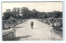 Vintage Chateau de Chenonceaux La Grande Allée Lithograph Postcard