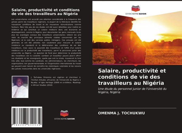 Salaire, Productivité Et Conditions De Vie Des Travailleurs Au NigéRia Tochukwu-image