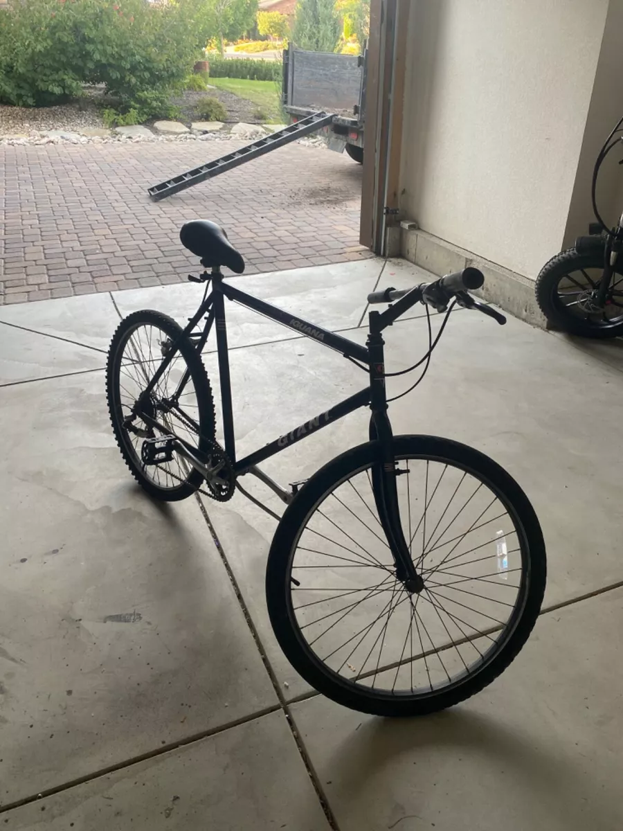 Giant iguana mountain bike price hotsell