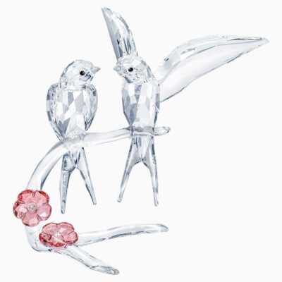 SWALLOWS