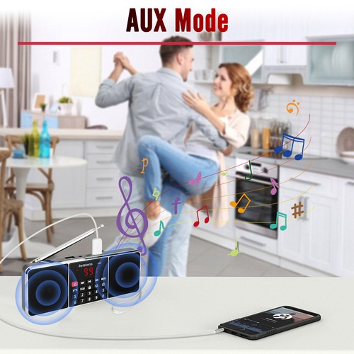 TR602 Radio Digital Portátil FM/AM Bluetooth Altavoz Doble Recargable Hogar Regalo - Imagen 6 de 12