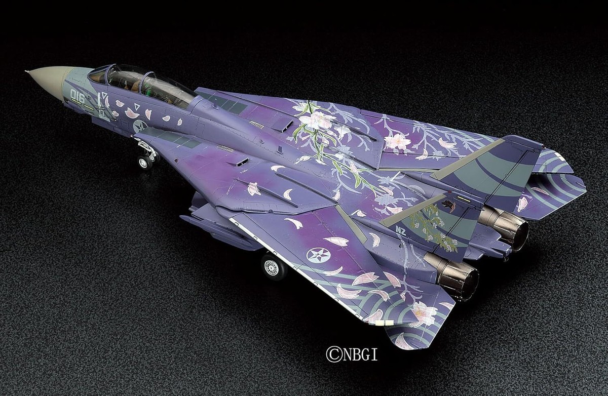 SAKURA☆ New Hasegawa 1/72 Airplane Series F-14D Tomcat Ace Combat