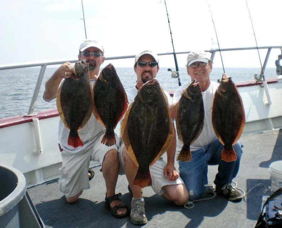 MEJORES SEÑUELOS FLUKE PLAUNDER B2 CALAMARES MOSTAZA LUBINA (SEÑUELOS GRATIS) Foto 4 de 4