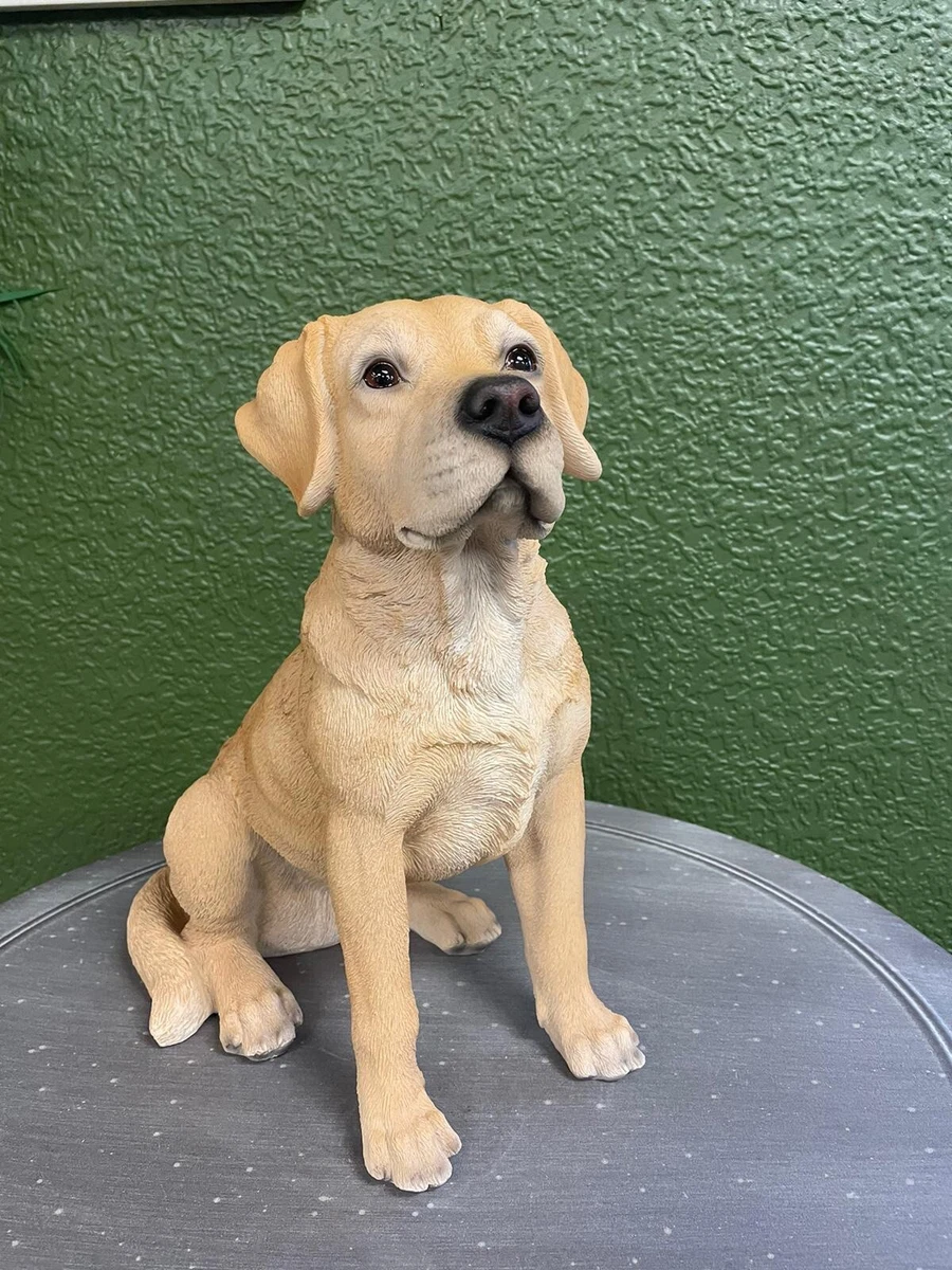 Small golden on sale labrador