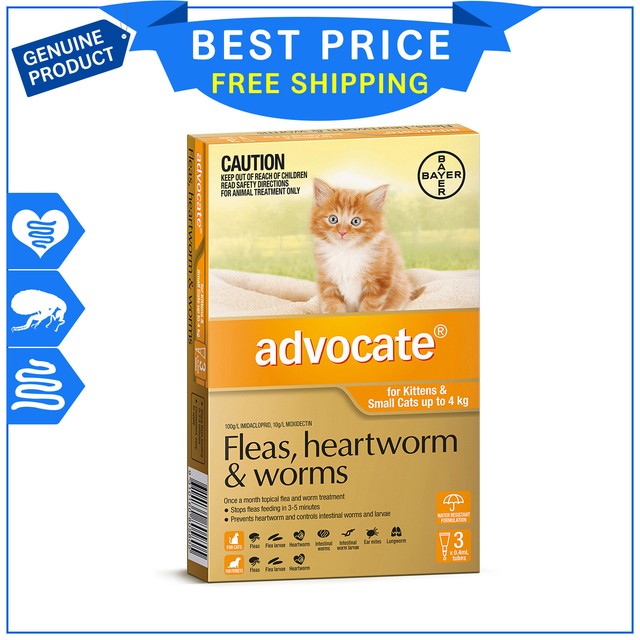 Advocate Flea and Worm Treatment for Cats 4kg (3 Pack) for sale online