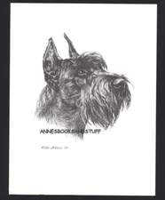 #411 GIANT SCHNAUZER dog art print * Pen & ink drawing by Jan Jellins