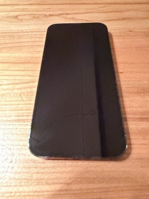 iPhone 13 Pro Max 256GB Sierrablau,  gebraucht, Display top, Rückseite Glassriss