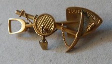 South Africa African Goldfields Brooch Pin Badge WB
