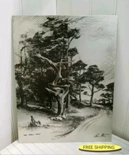 MINT VTG 11¾Hx9W THE GHOST TREE ETCHING BY ALEC STERN SHEET METAL WALL ART PHOTO
