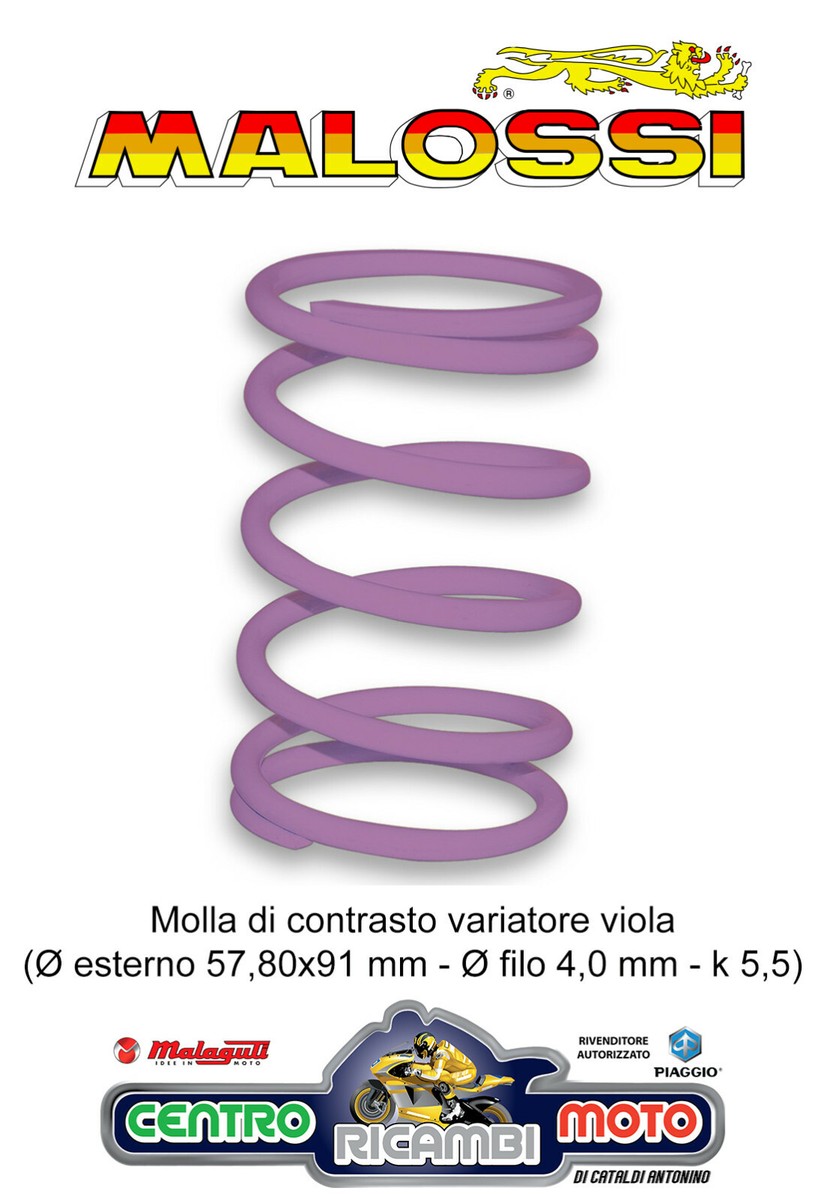 Molla Di Contrasto Viola Variatore MALOSSI PIAGGIO ZIP Fast Rider