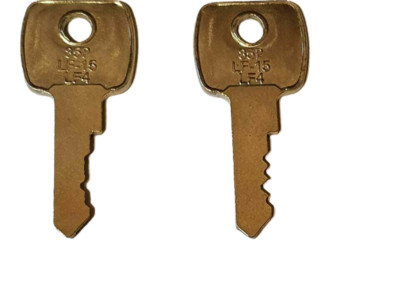 2 X ZITON FEUERMELDEZENTRALEN HAUPTTÜRSCHLÜSSEL CODES 019 oder 92219 MASSIVE STAHLSCHLÜSSEL.