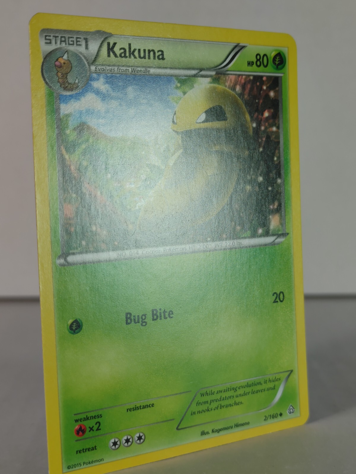 Picture 9 of 26
