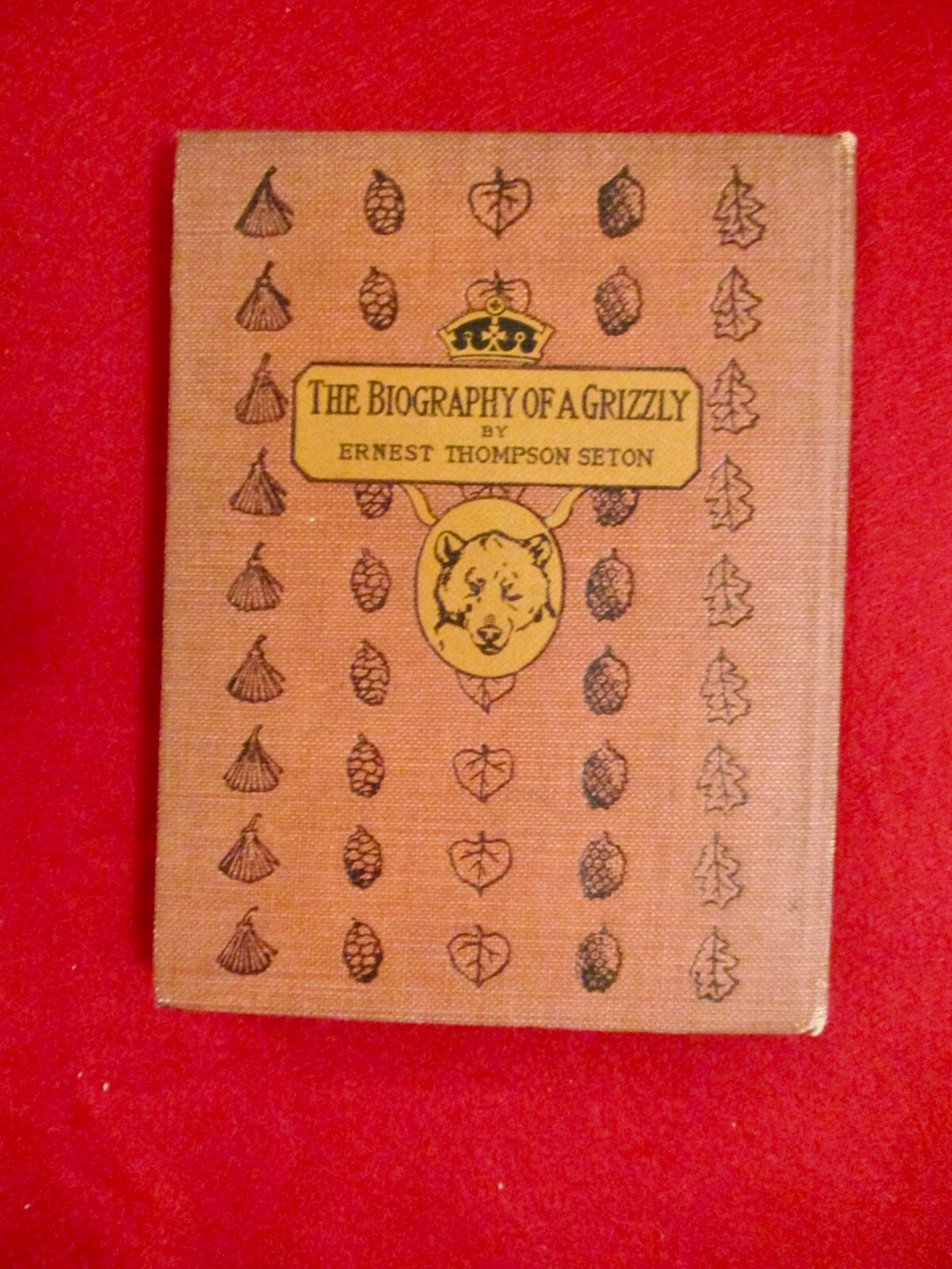 Picture 7 of 8