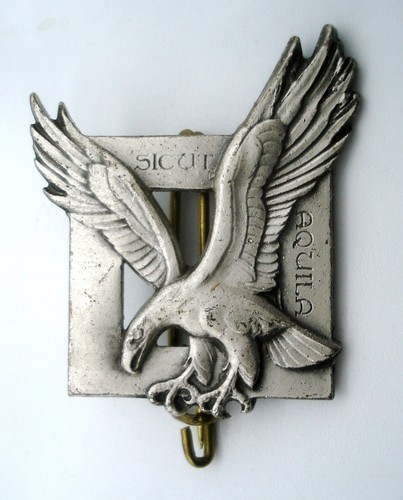 Frankreich Abzeichen Fallschirmjäger Commando Sicut Aquila Airborne Parachute