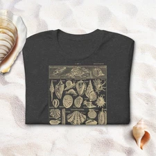 Vintage Ocean Life T-Shirt – Mollusks & Sea Creatures Scientific Diagram Shirt