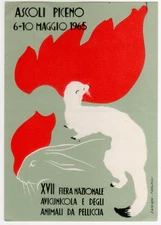 A6 ADVERTISING POSTCARD ASCOLI PICENO SIGNED DAMIANI TARLAZZI 1965