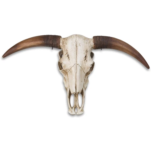 Massive Full Size Bull Steer Skull